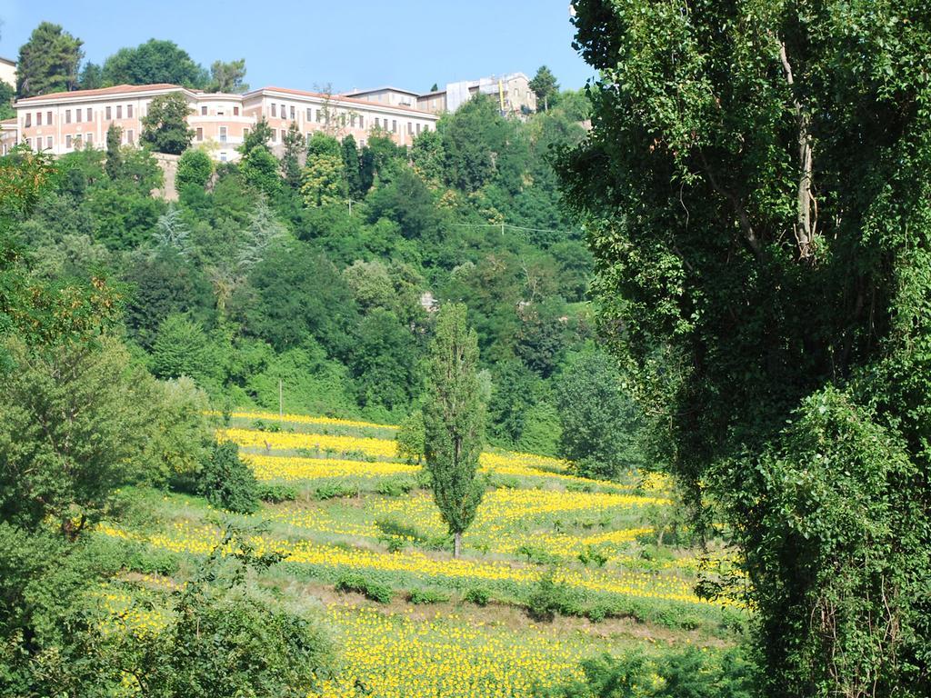 B&B Villa Paradiso Urbino Exterior foto